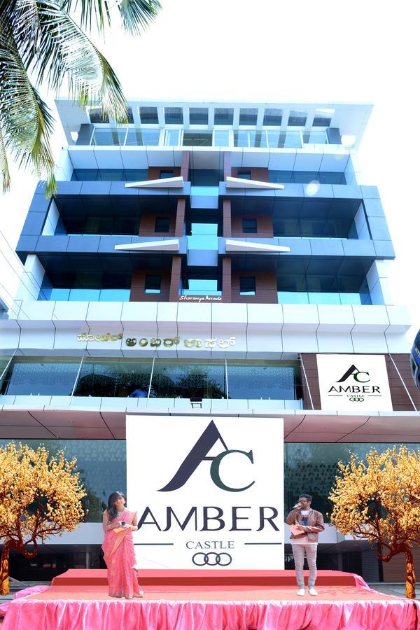 Amber Castle Hotel Hassan Exterior photo